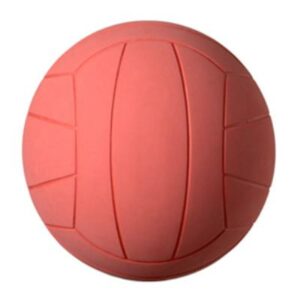Ballon de Torball